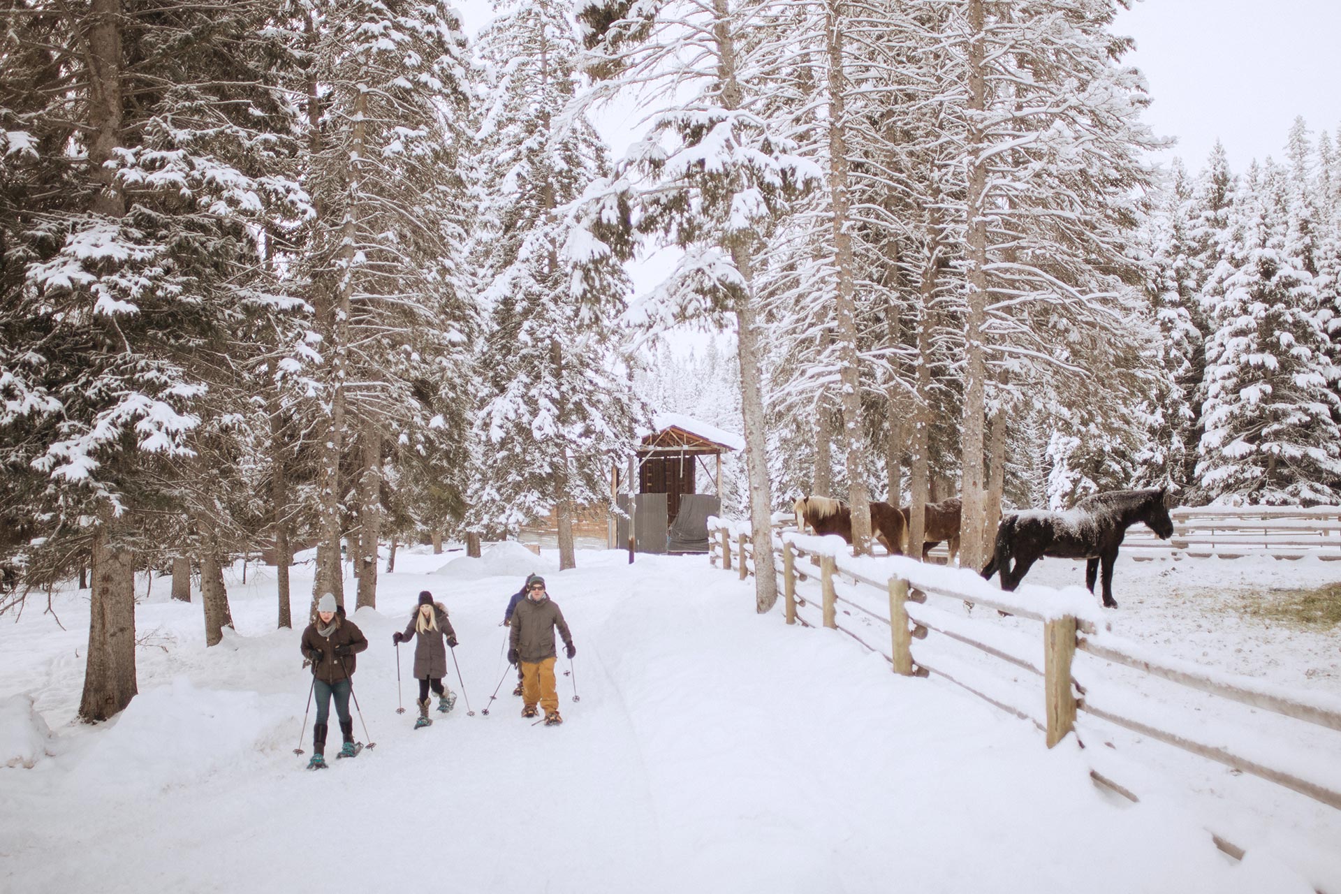 Snow-covered ranch grounds and cabins with skiers, Lone Mountain Ranch, Big Sky, USA