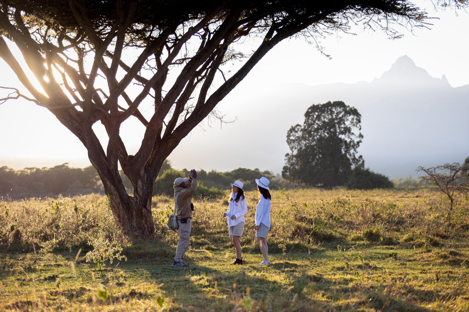 Guided nature walk beneath an acacia tree, Fairmont Mount Kenya Safari Club, Nanyuki, Kenya