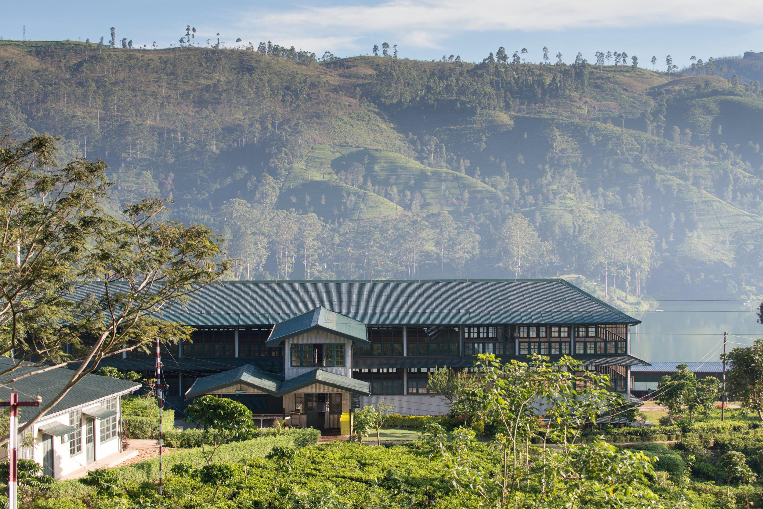 Tea factory exterior surrounded by tea fields and mountain slopes, Ceylon Tea Trails, Hatton, Sri Lanka