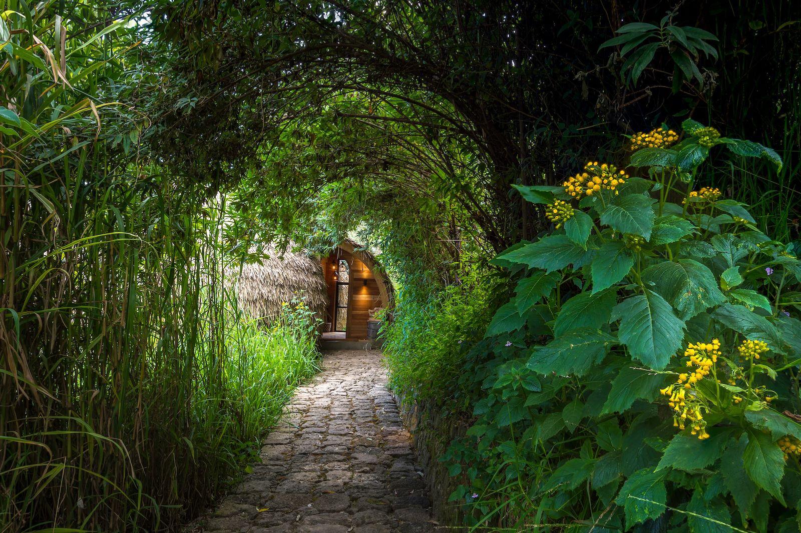 Leafy arched walkway leading to a forest villa, Bisate Lodge, Volcanoes National Park, Rwanda