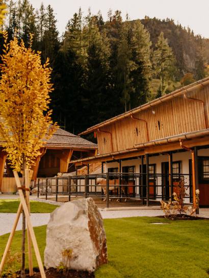 Riding stable at Naturhotel Forsthofgut in Leogang