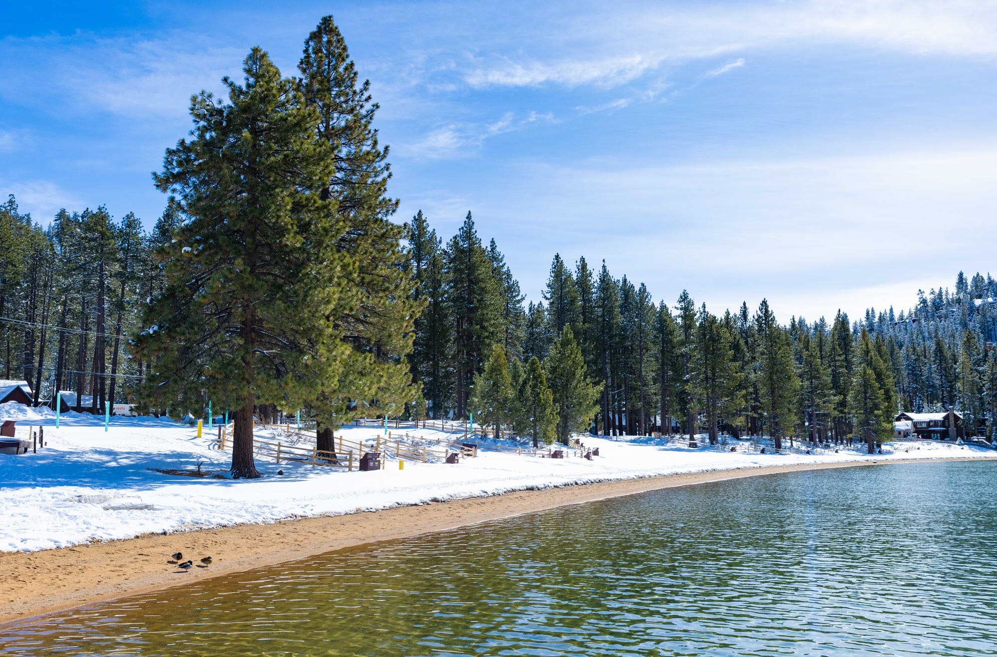 Snow-covered lakeshore and wooded resort grounds, Zephyr Cove, USA
