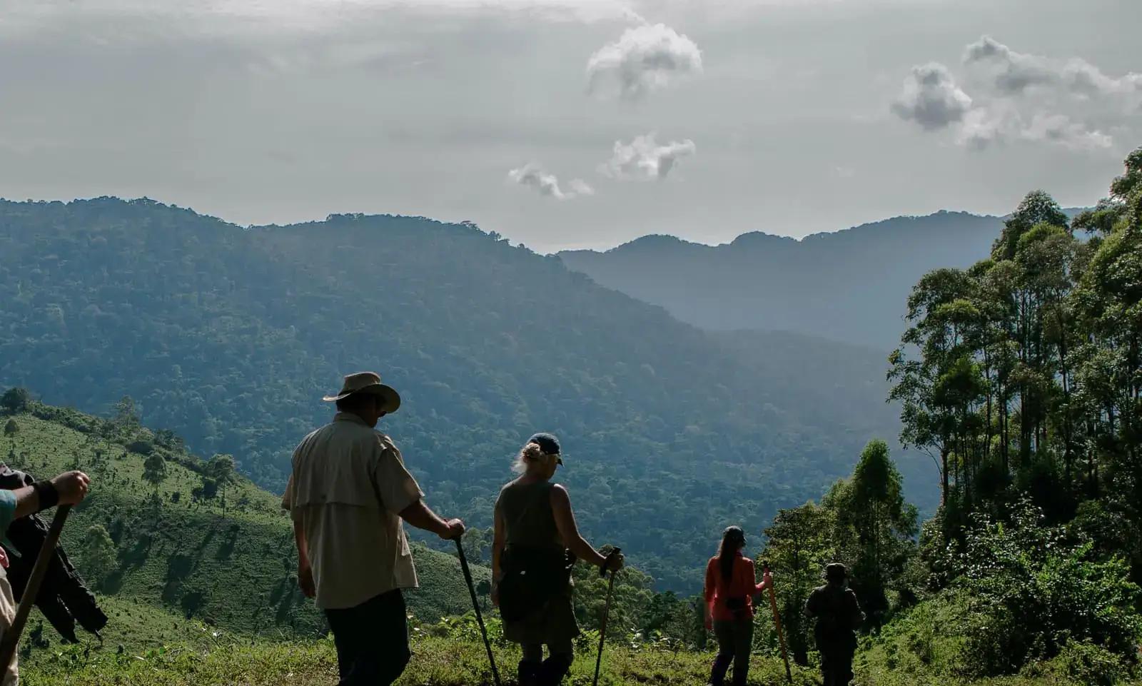 Guided hike overlooking forested mountain ridges, Clouds Mountain Gorilla Lodge, Bwindi Impenetrable National Park, Uganda