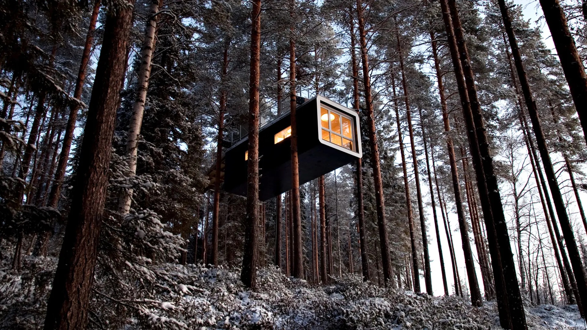 The Cabin suspended among tall forest trees at Treehotel, Harads, Swedish Lapland