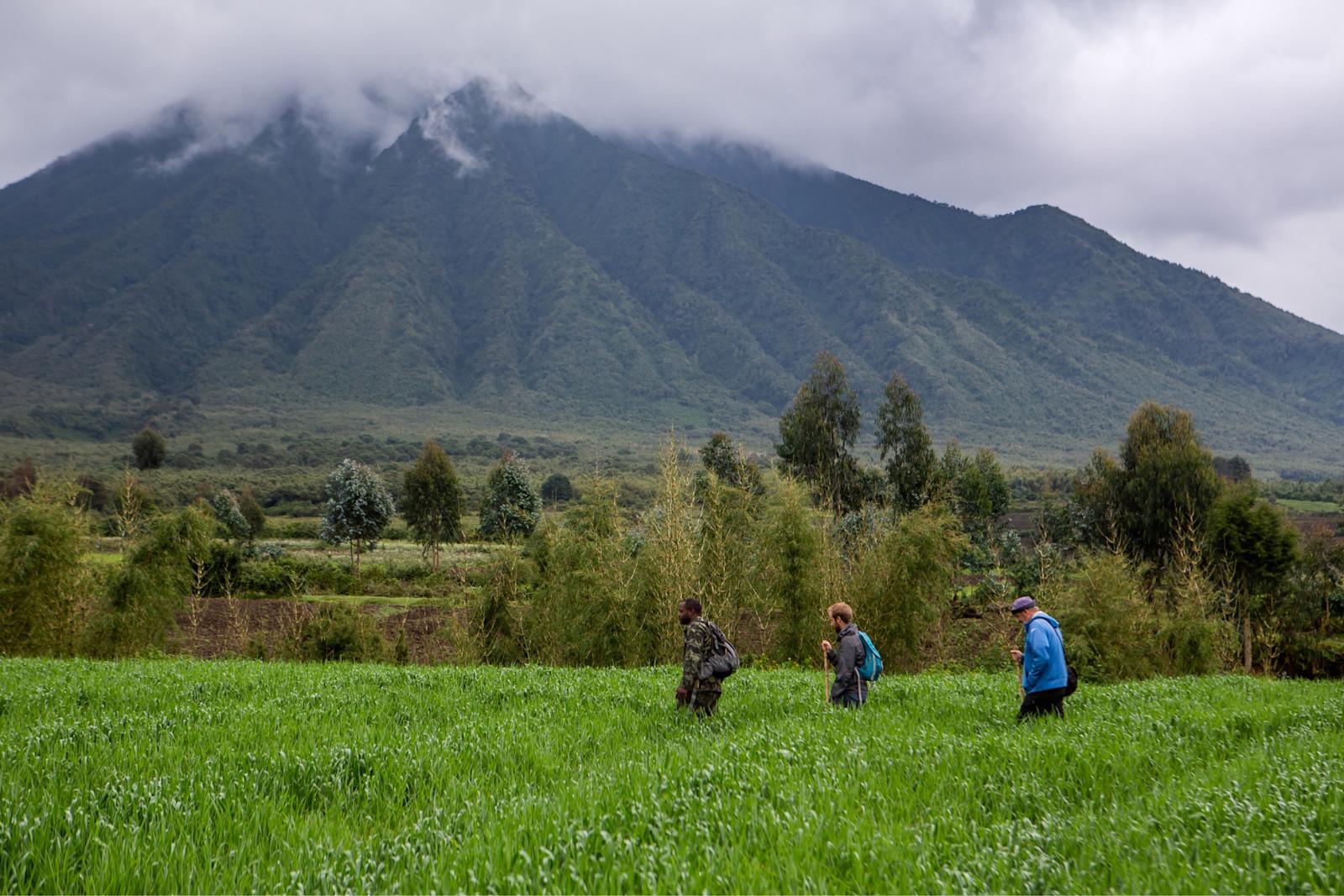 Guided walk across green fields beneath a cloud-covered volcano, Singita Kwitonda Lodge, Volcanoes National Park, Rwanda