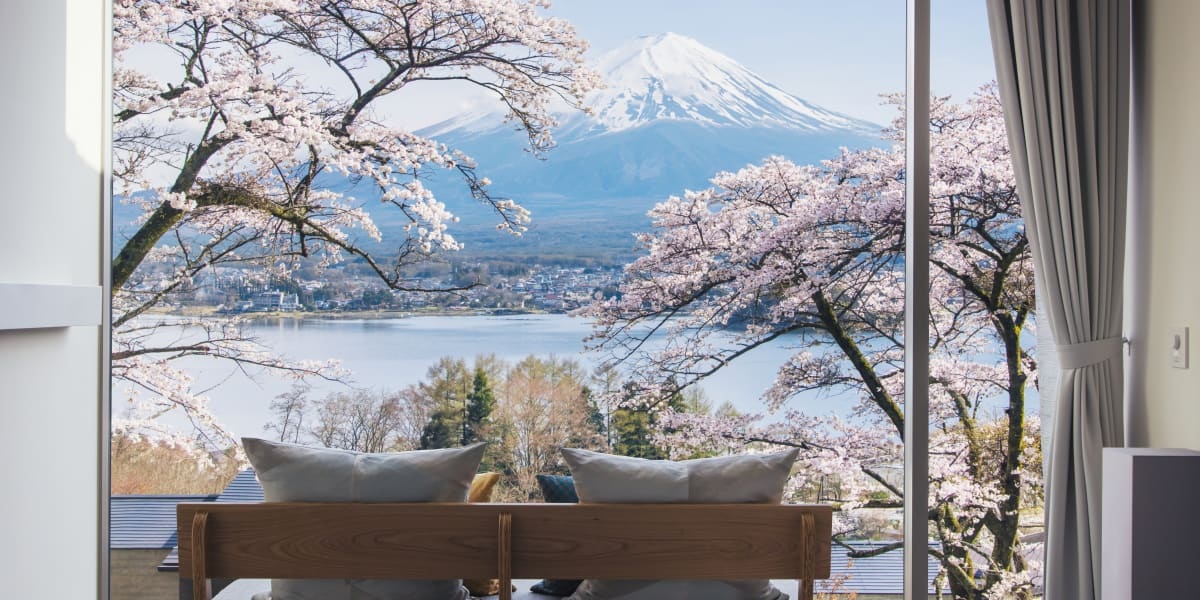 Cabin terrace with cherry blossoms, lake and Mount Fuji, Lake Kawaguchi, Japan