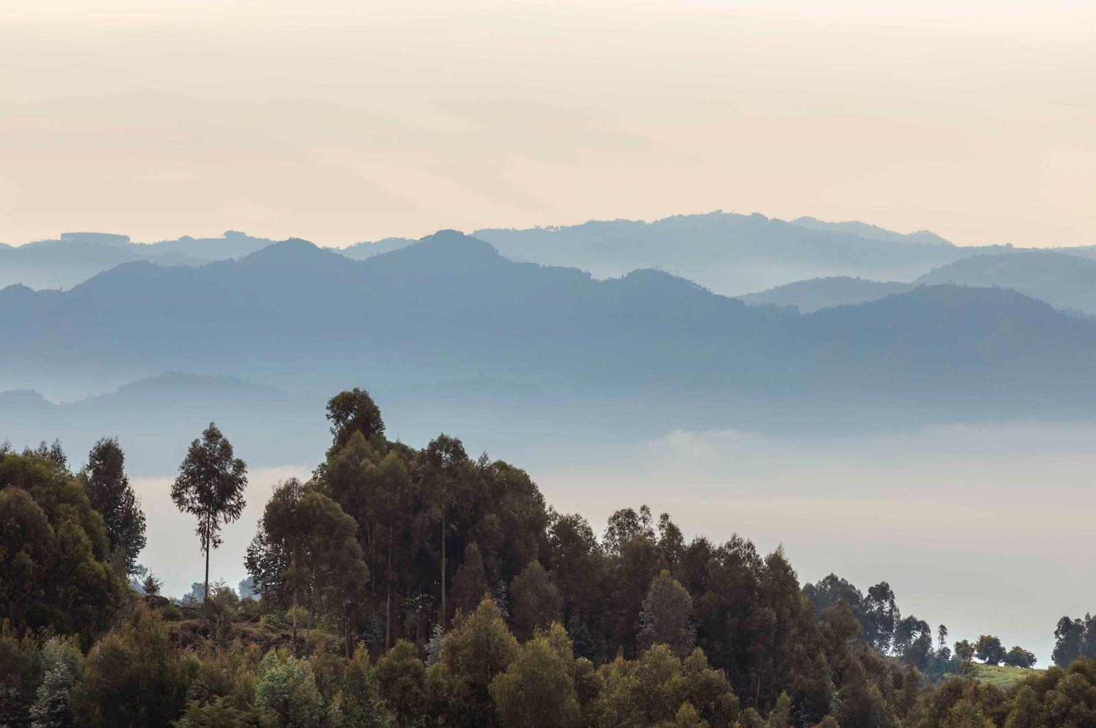 Layered mountain view above mist-filled valleys, Bisate Lodge, Volcanoes National Park, Rwanda