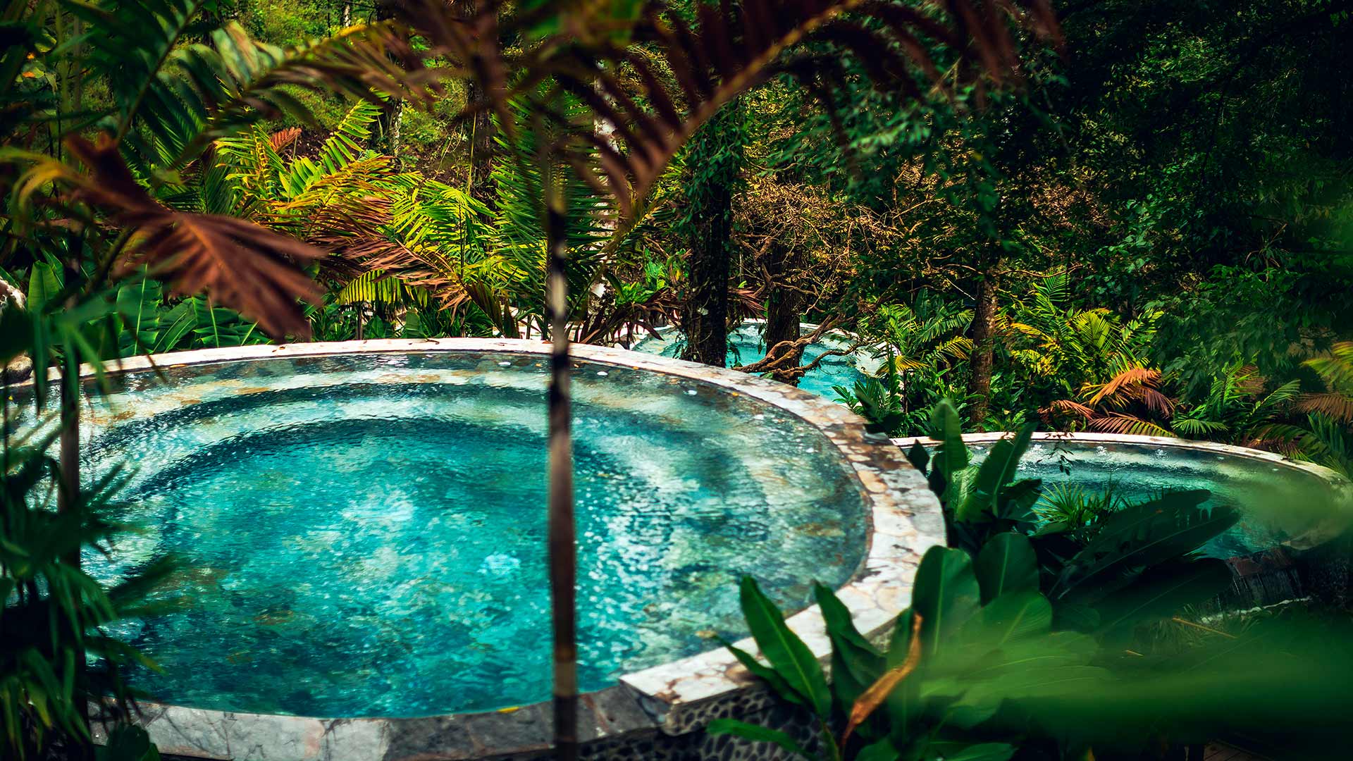 Round thermal pool surrounded by lush tropical foliage, Nayara Tented Camp, Arenal, Costa Rica