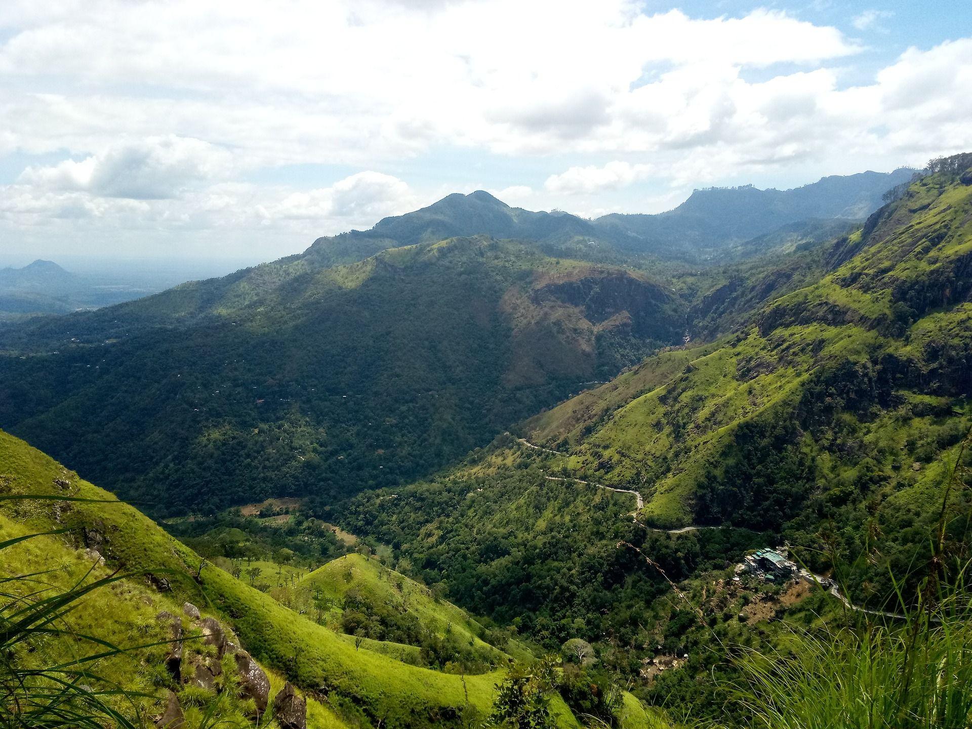 Panoramic view of green mountain ridges and tea-covered slopes, 98 Acres Resort, Ella, Sri Lanka