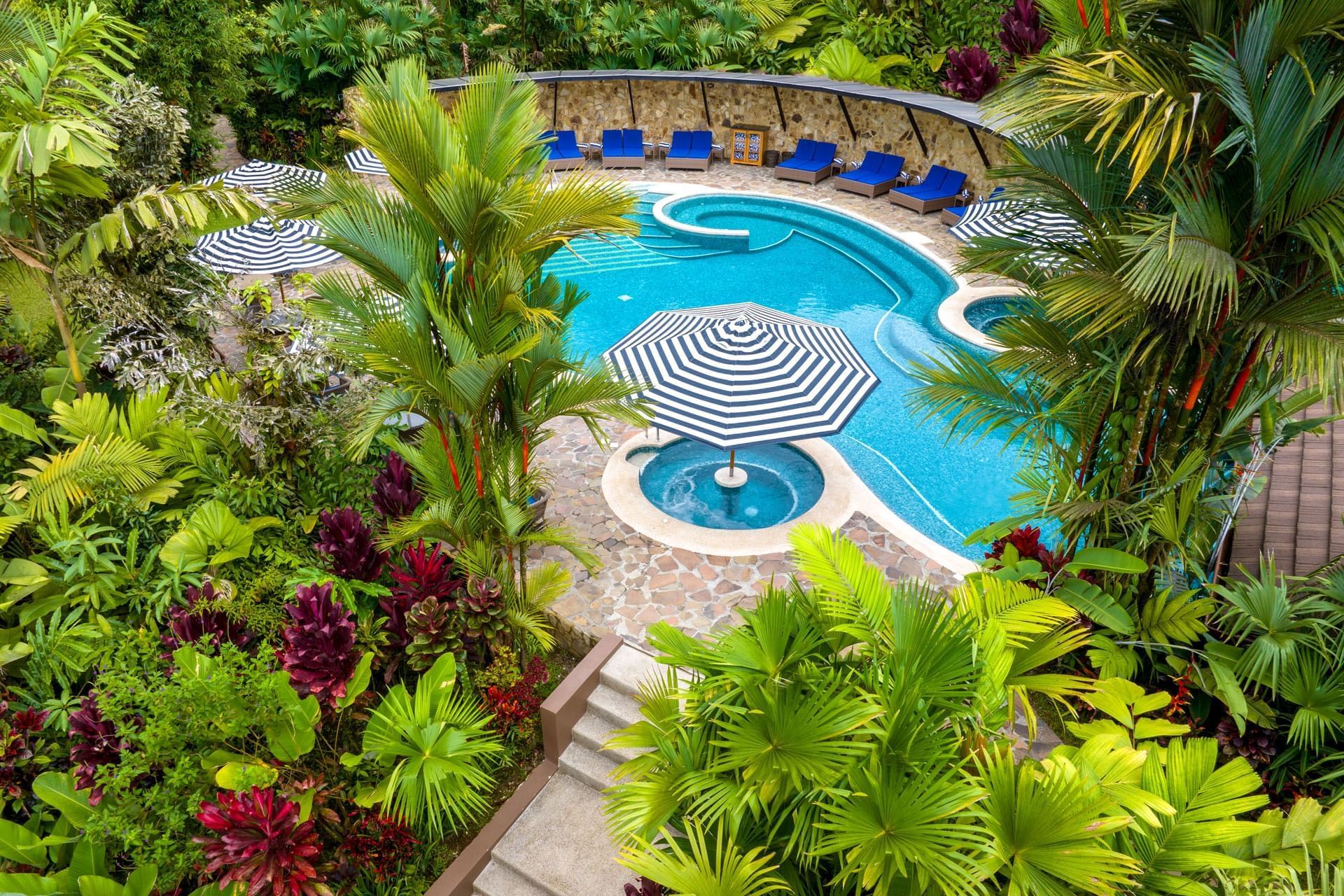 Curving swimming pool surrounded by palms and tropical gardens, Hideaway Rio Celeste, Tenorio, Costa Rica