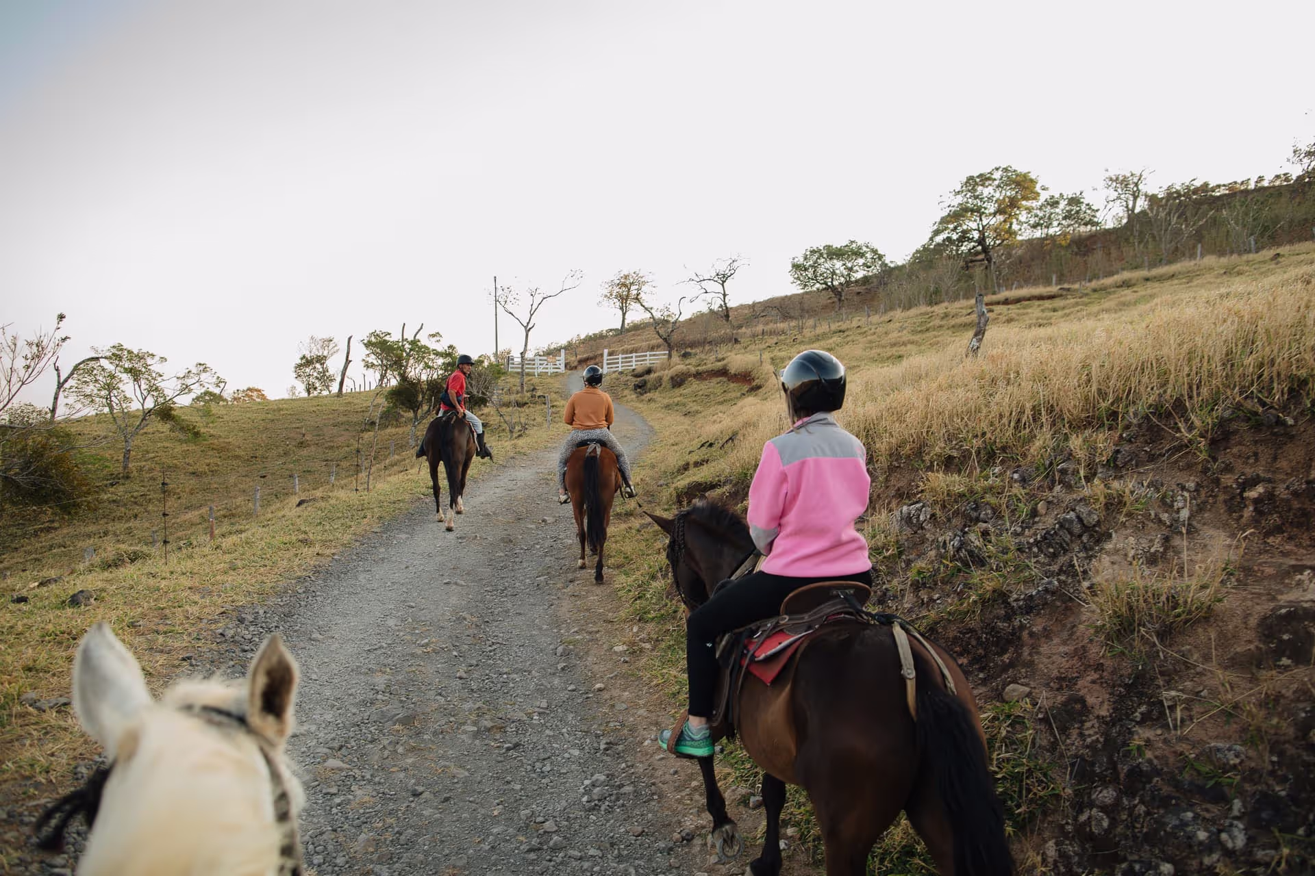 Horseback riding through rolling countryside, Hotel Belmar, Monteverde, Costa Rica