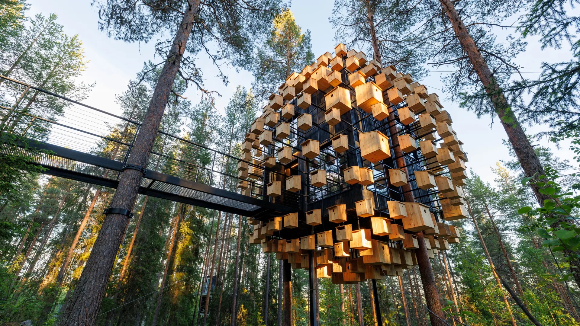 Biosphere treehouse surrounded by pine trees at Treehotel, Harads, Swedish Lapland