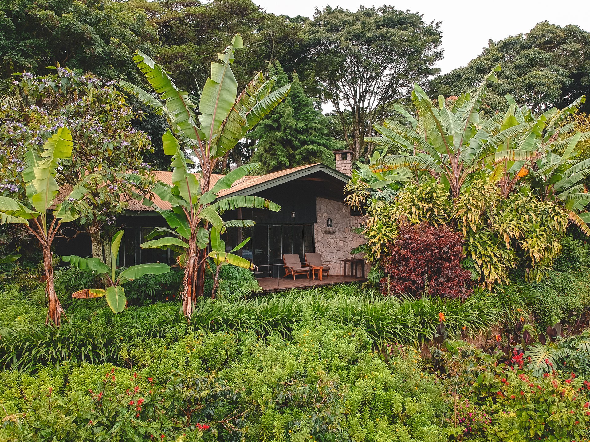 Cottage surrounded by dense tropical planting at Gibb's Farm.