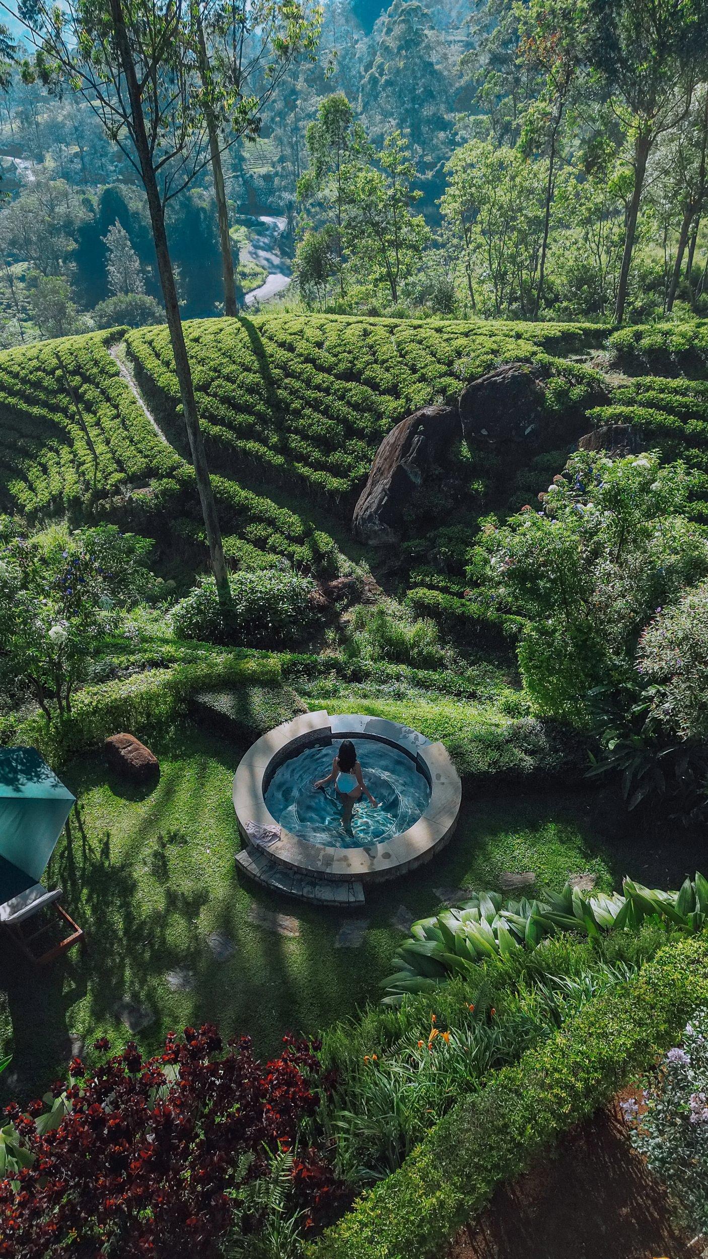 Overhead view of a circular hot tub among terraced tea bushes, Ceylon Tea Trails, Hatton, Sri Lanka