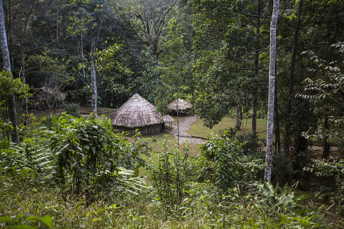 Thatched structures in a clearing surrounded by tall forest trees, Pacuare Lodge, Pacuare River, Costa Rica