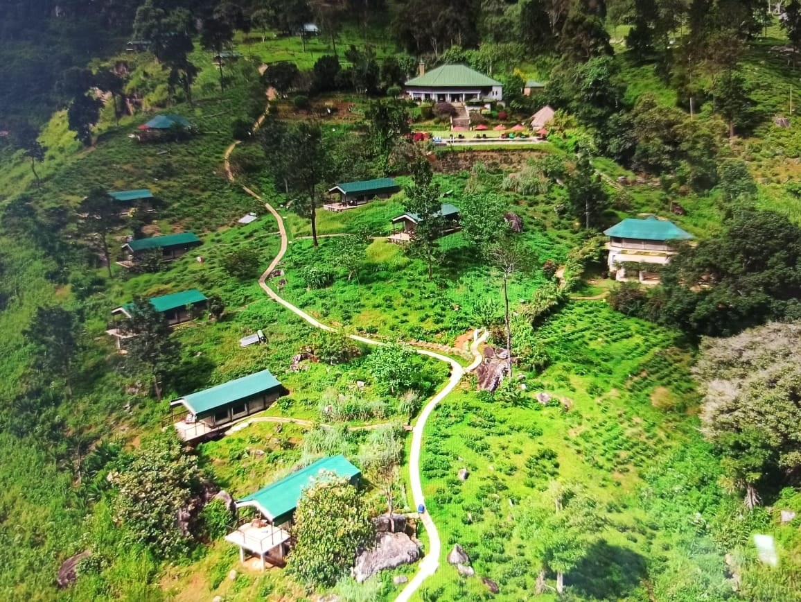 Tented lodges scattered across a steep green tea-estate hillside