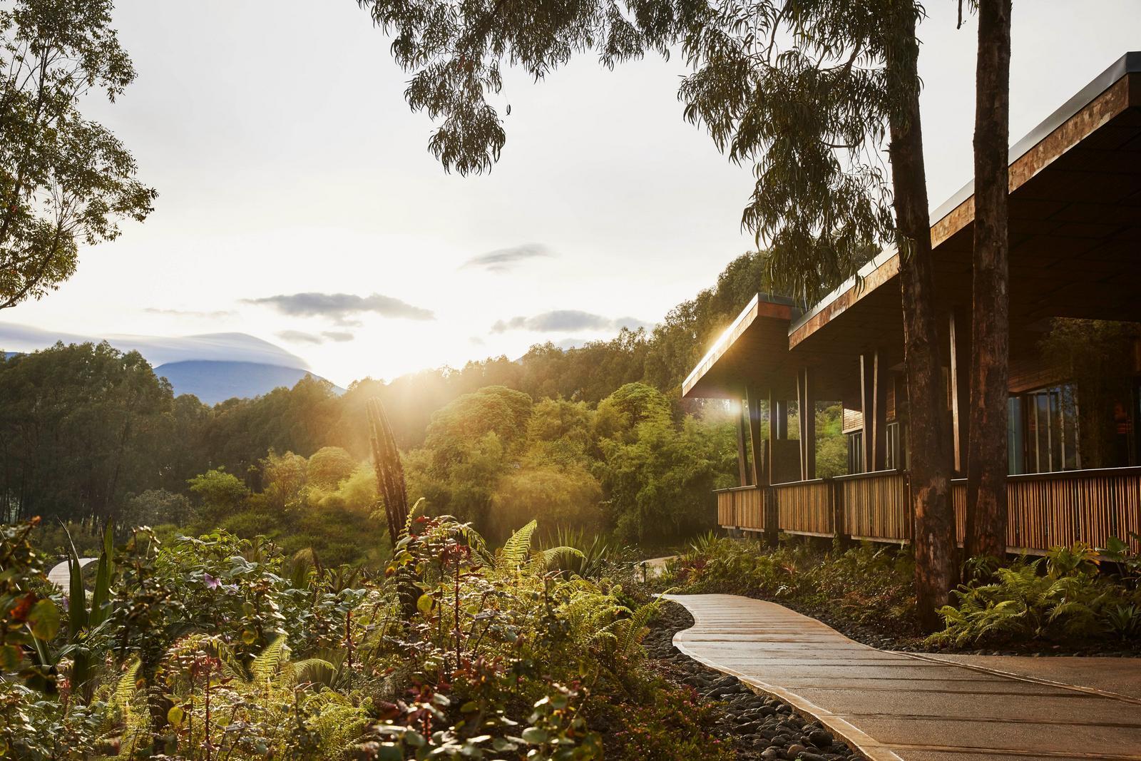 Sunlit garden pathway beside a timber lodge exterior, One&Only Gorilla's Nest, Volcanoes National Park, Rwanda
