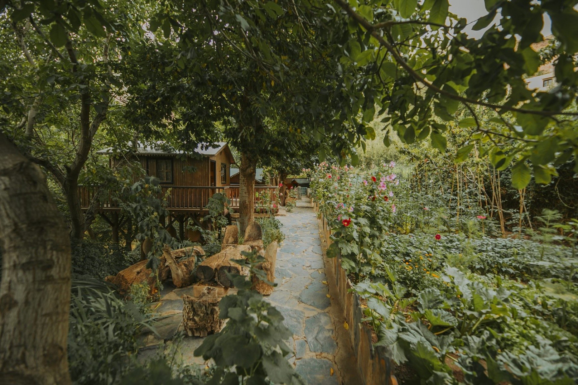 Lush garden and stone path at Douar Samra