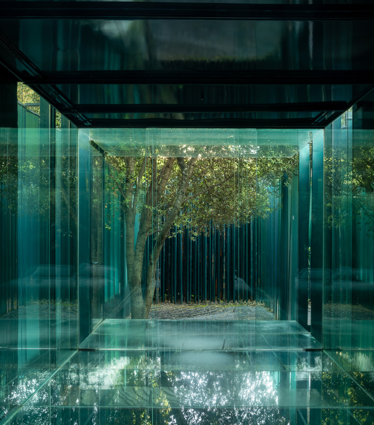 A pavilion interior framed by dark beams, with a tree just beyond the glass at Les Cols Pavellons, Olot, Spain