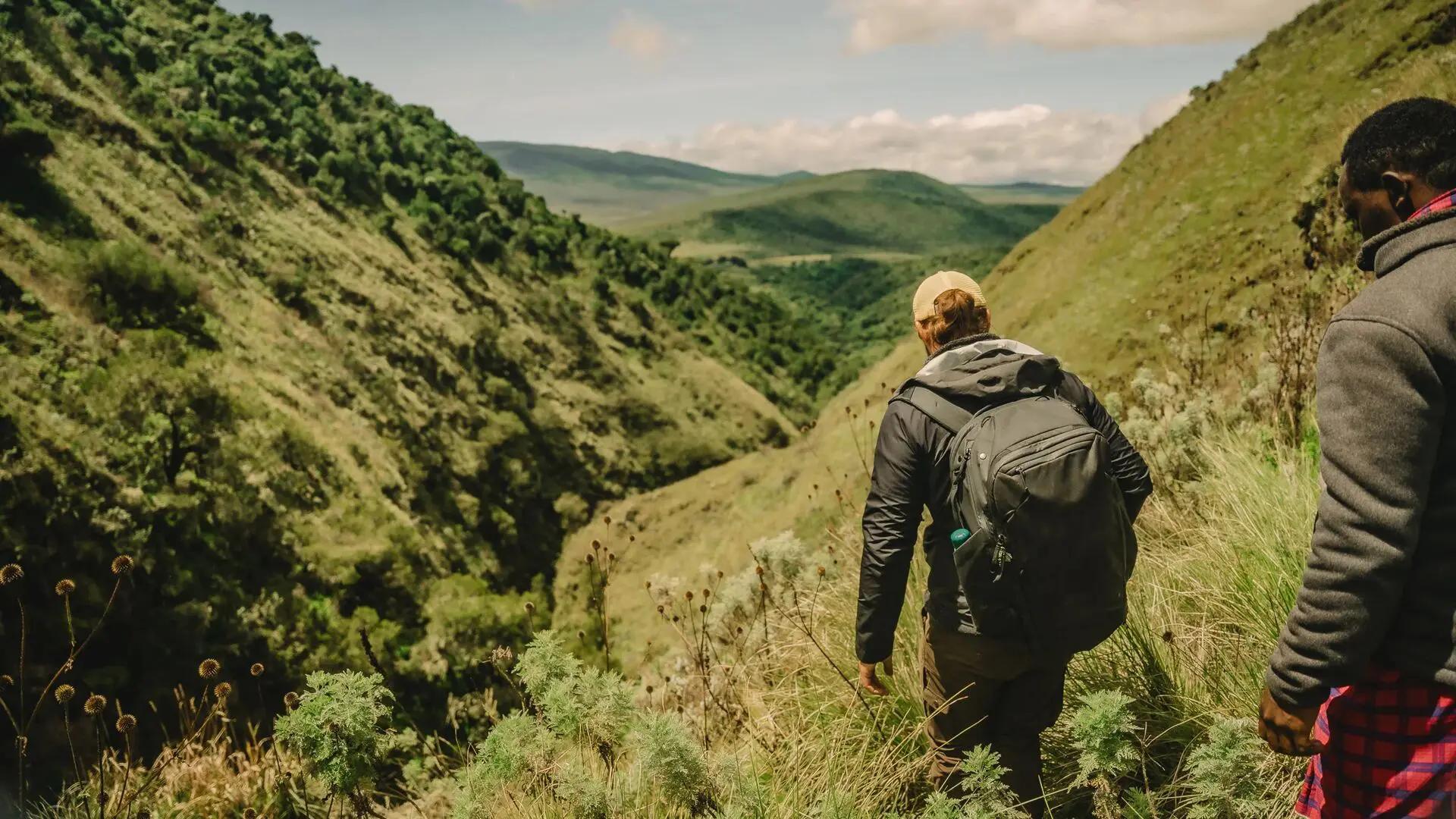 Guided hike through a steep green highland valley, The Highlands, Asilia, Ngorongoro Conservation Area, Tanzania