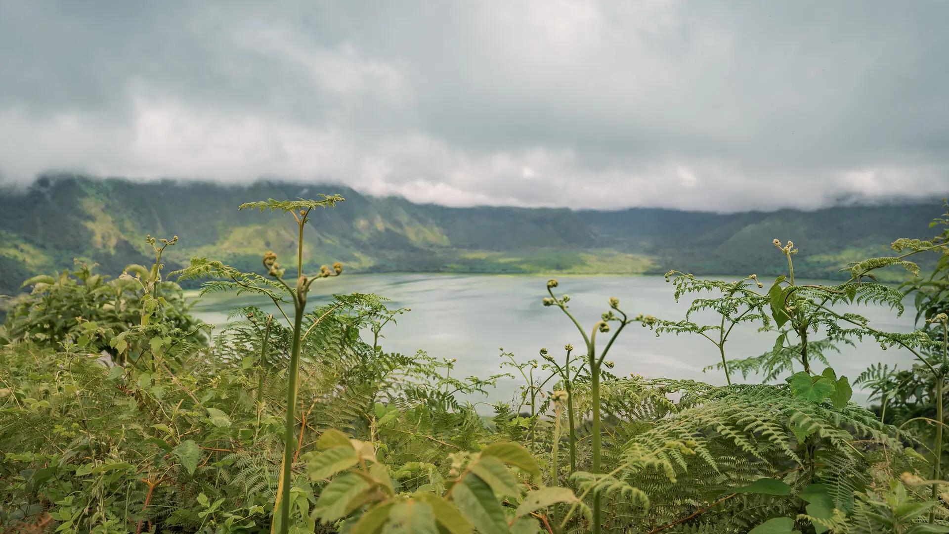View of Empakaai Crater lake beneath misty hills, The Highlands, Asilia, Ngorongoro Conservation Area, Tanzania