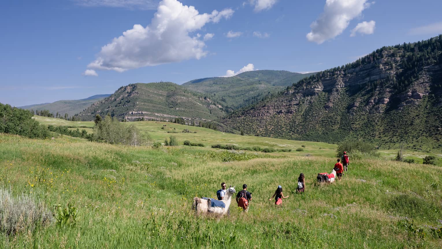 Summer hiking through green alpine meadows near Vail