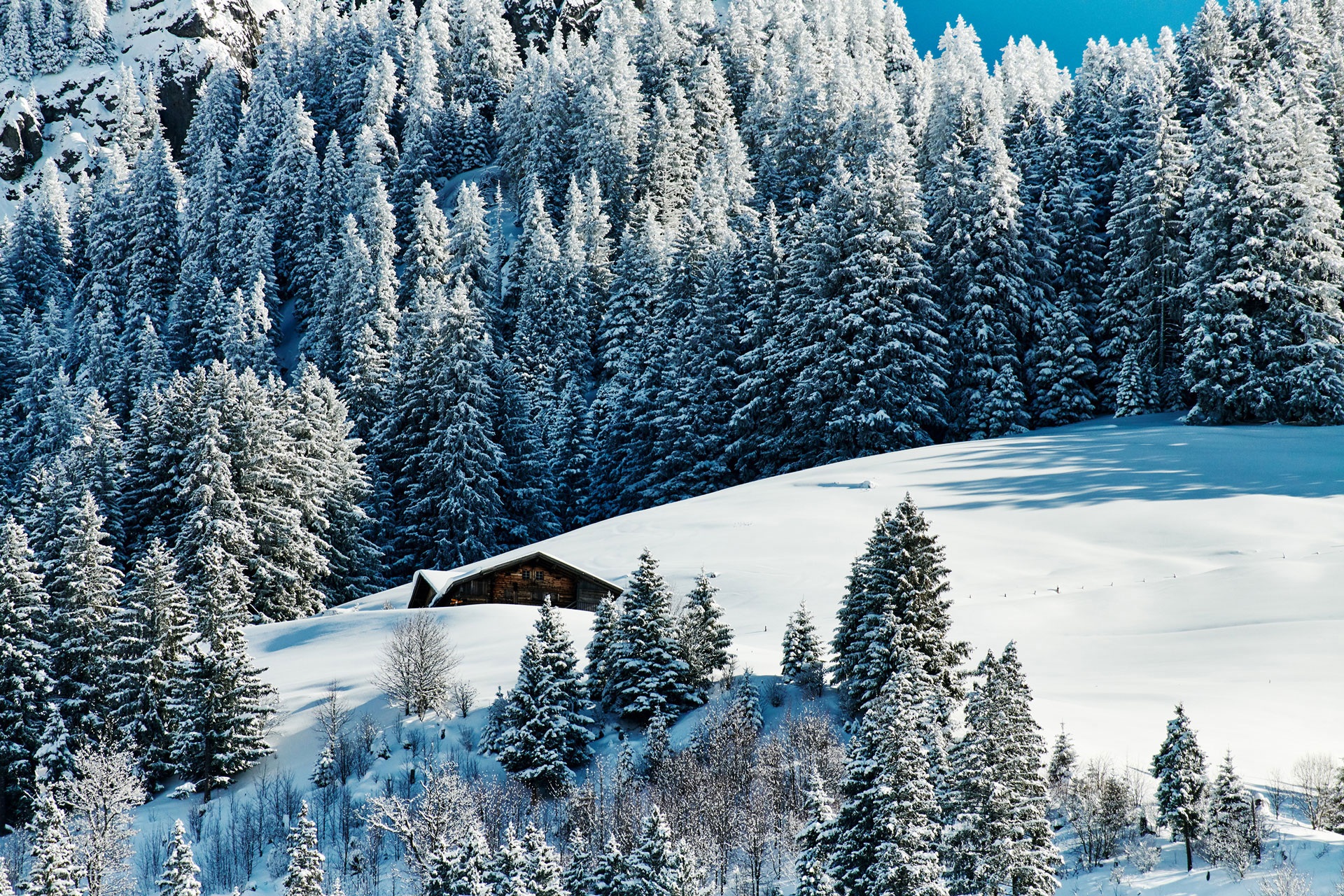 Snowy landscape with spruce trees and chalet at The Alpina Gstaad, Gstaad, Switzerland