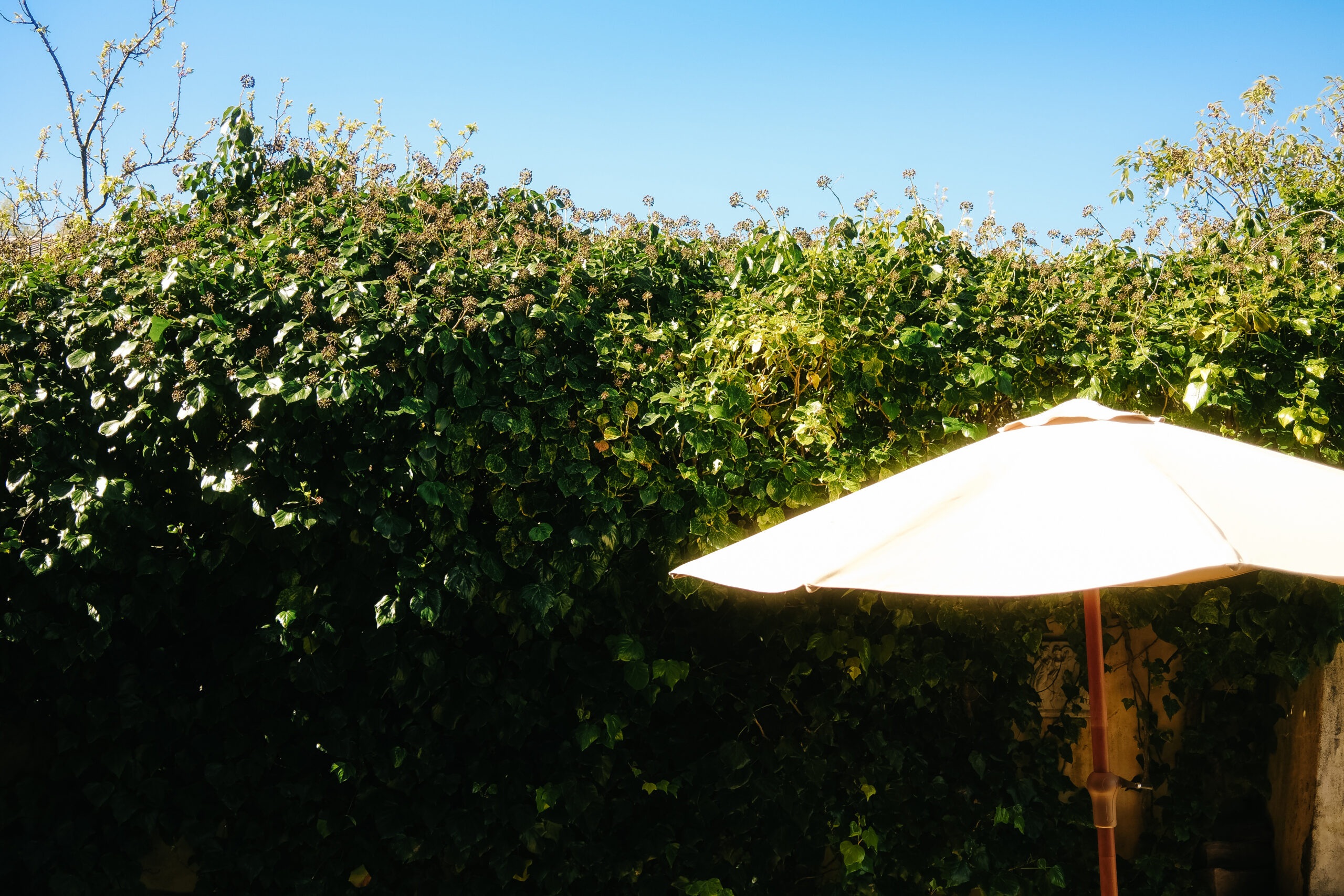 Garden patio seating beneath a sun umbrella at Browns Boutique Hotel, Queenstown, New Zealand