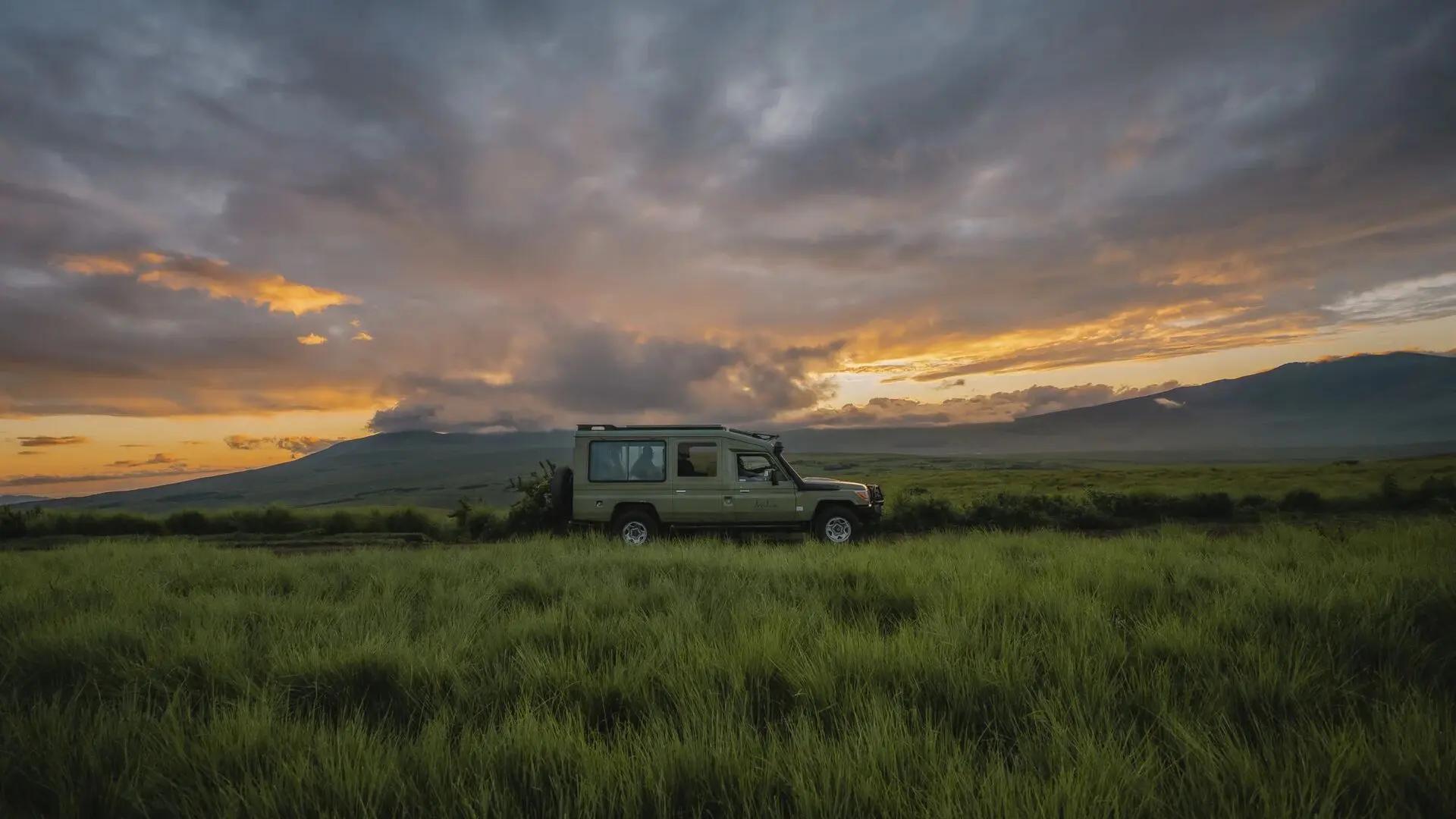 Safari vehicle on a grassy highland plain at sunset, The Highlands, Asilia, Ngorongoro Conservation Area, Tanzania