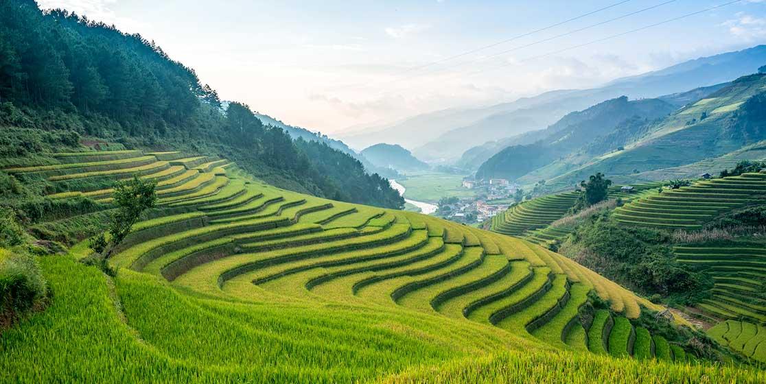 Green rice terraces sweeping across a mountain valley, Topas Ecolodge, Sapa, Vietnam