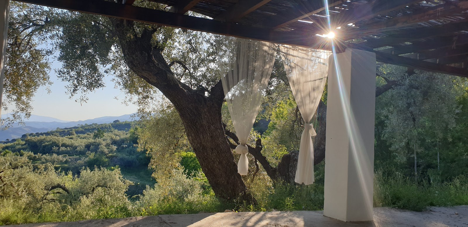 Shaded terrace beneath a tree overlooking the Alpujarras at Las Chimeneas