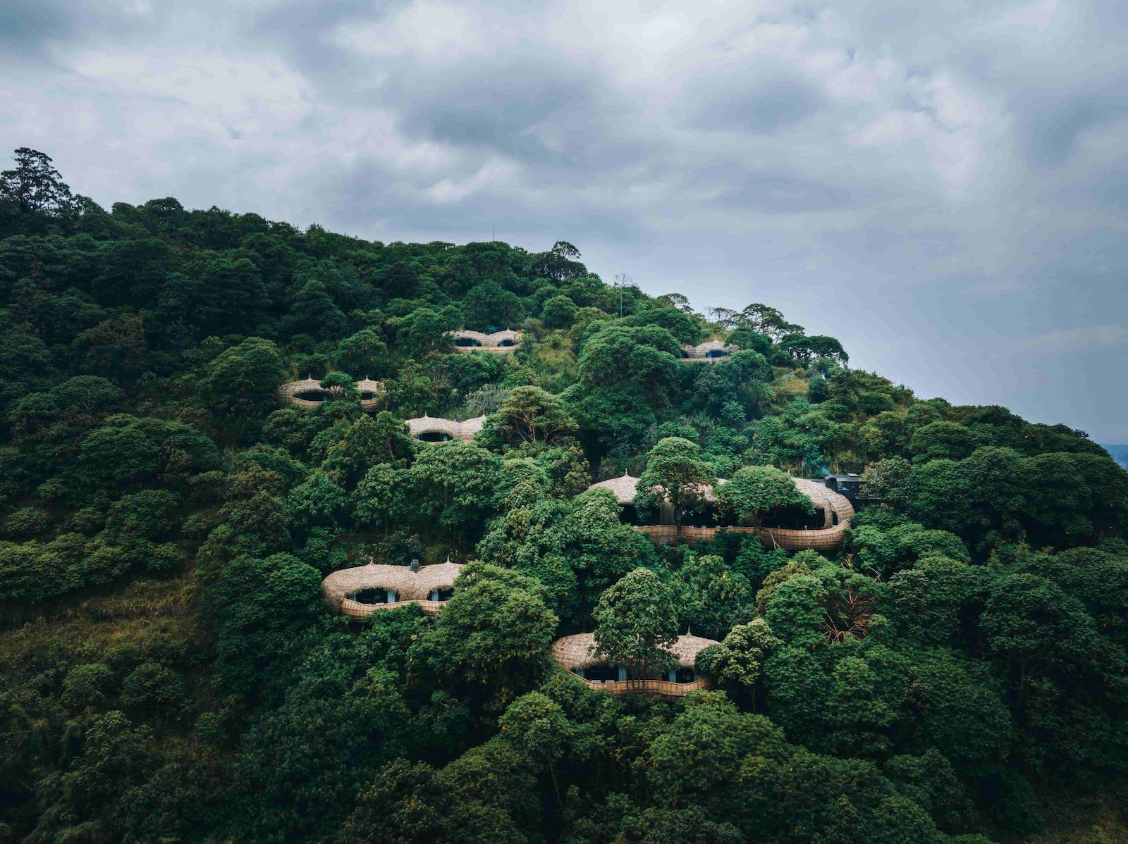 Aerial view of thatched villas on a forested hillside, Bisate Lodge, Volcanoes National Park, Rwanda
