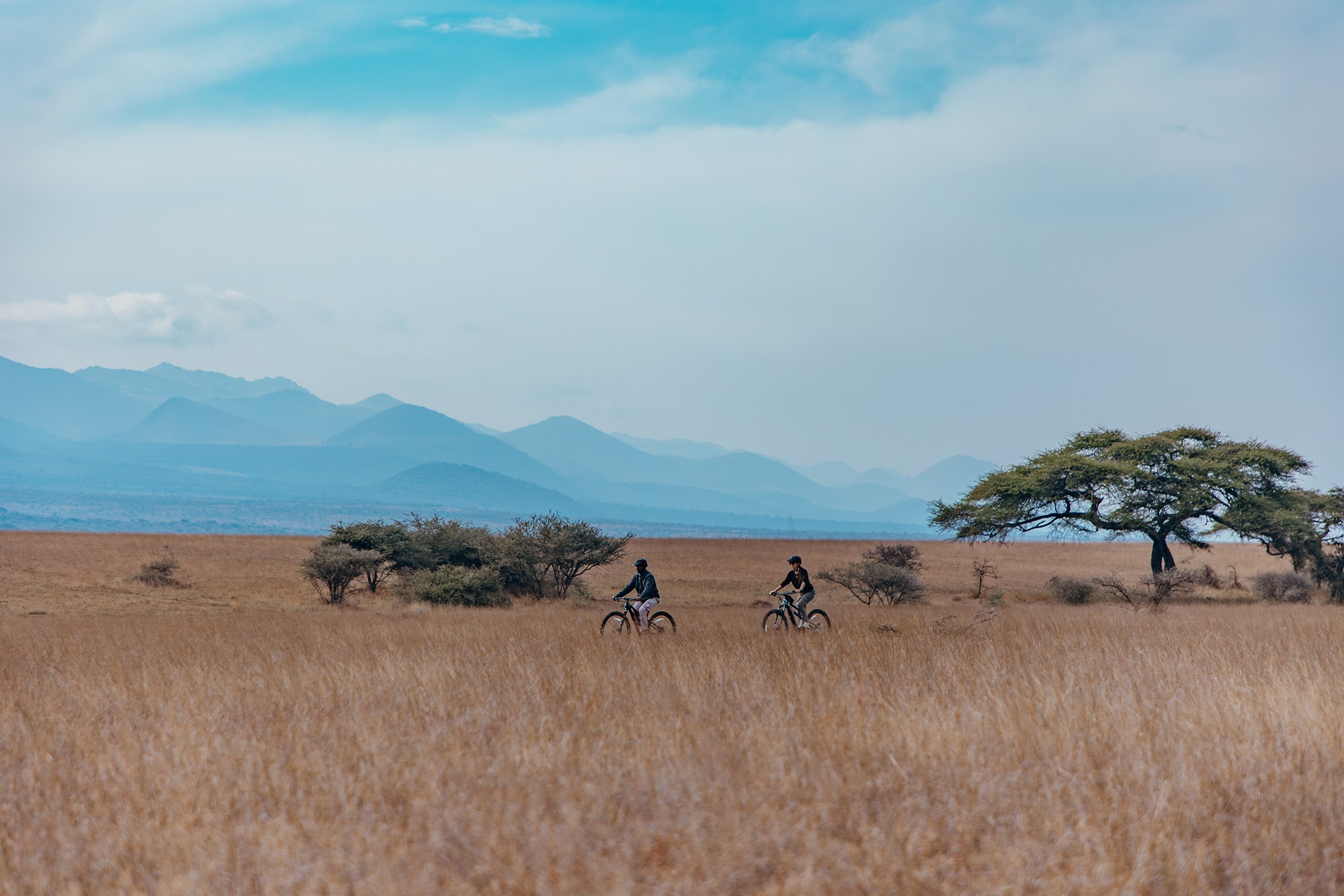 Mountain bikers crossing open grassland with mountains in the distance, Ol Donyo Lodge