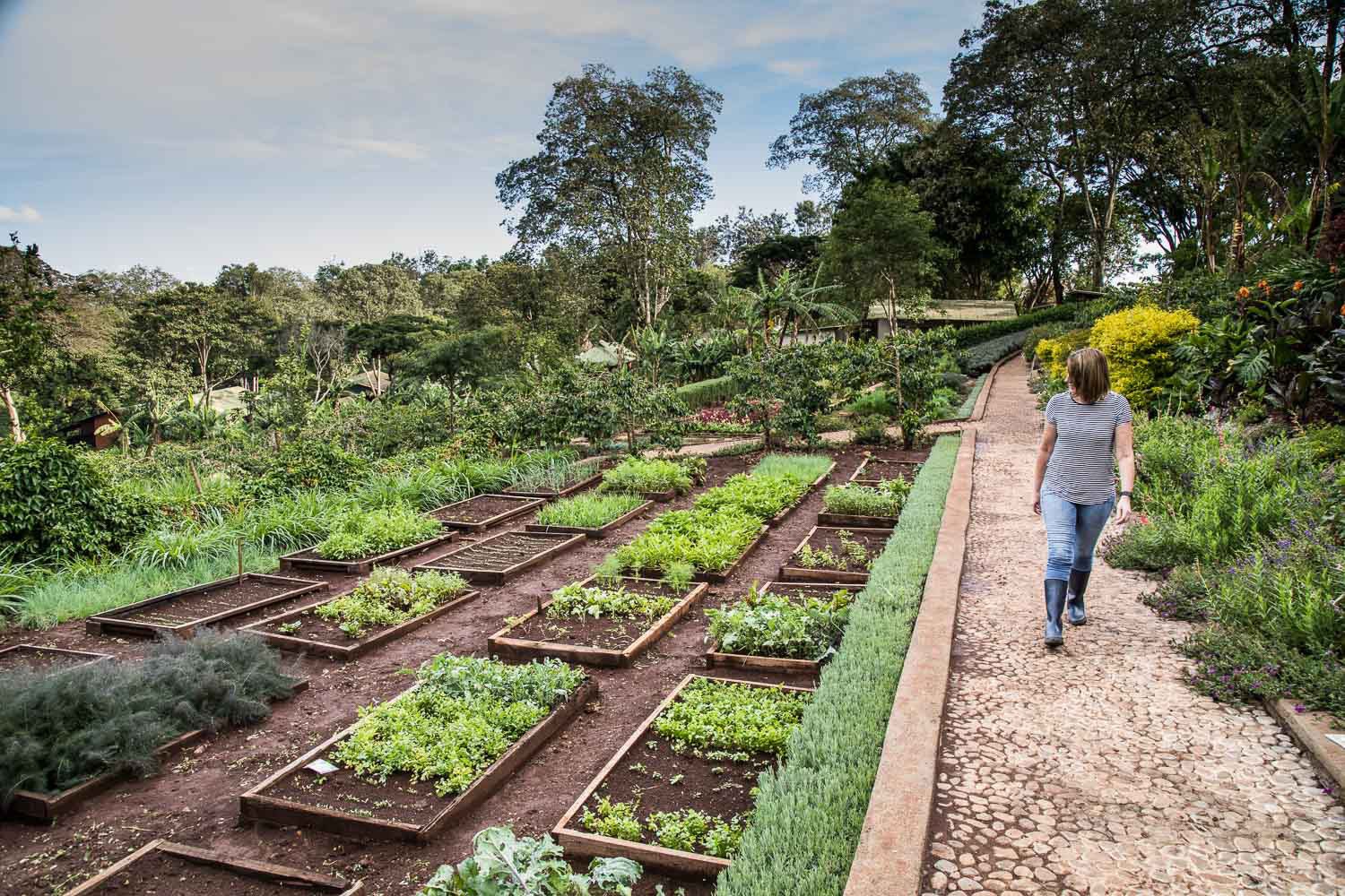 Raised vegetable beds and a garden path at Gibb's Farm.