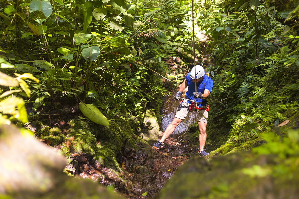 Guided hiking on a lush rainforest trail, Pacuare Lodge, Pacuare River, Costa Rica