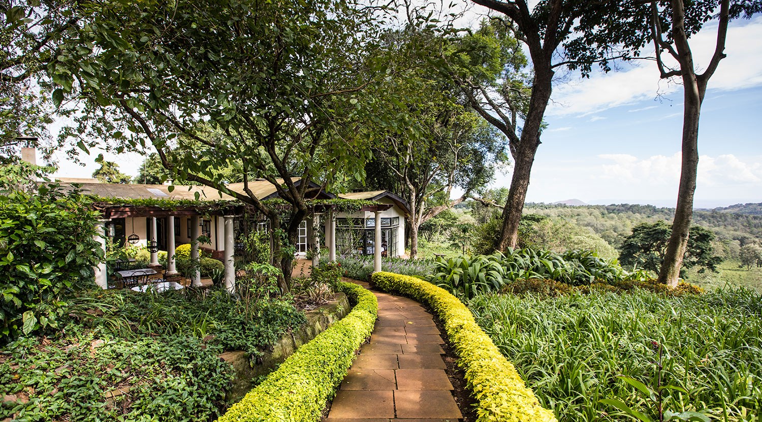 Garden path bordered by hedges leading to a veranda at Gibb's Farm.