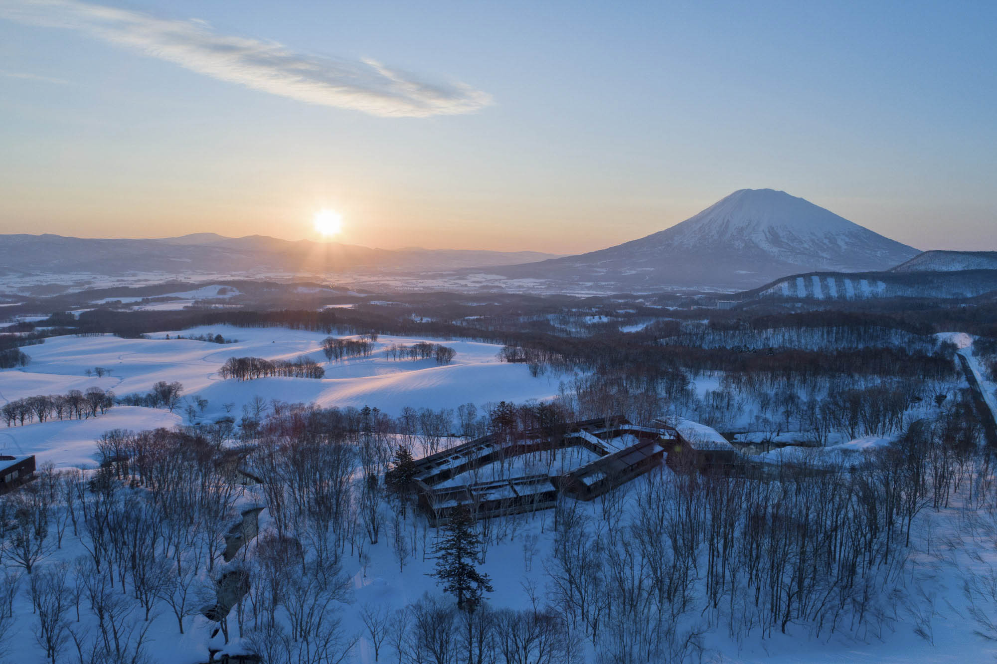 Snow-laden forest in Hokkaido
