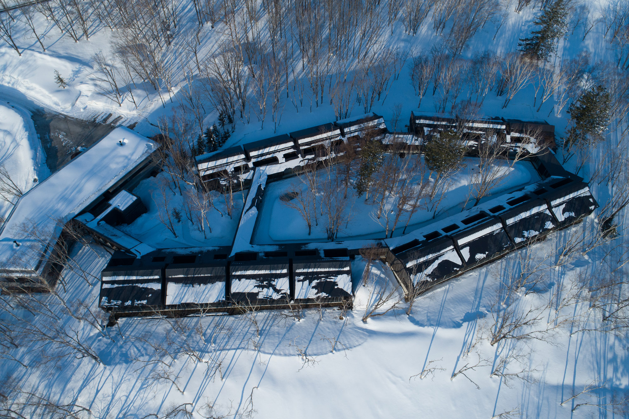 Zaborin, Niseko